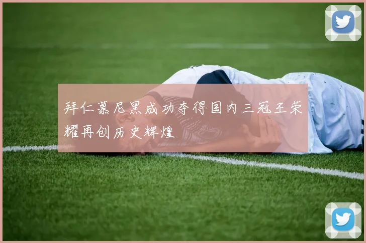 拜仁慕尼黑成功夺得国内三冠王荣耀再创历史辉煌