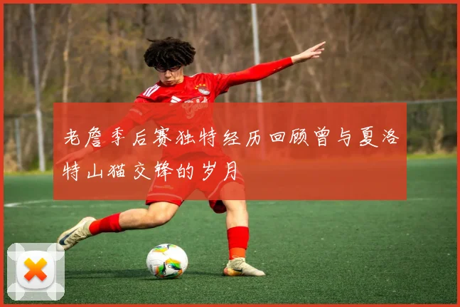 老詹季后赛独特经历回顾曾与夏洛特山猫交锋的岁月
